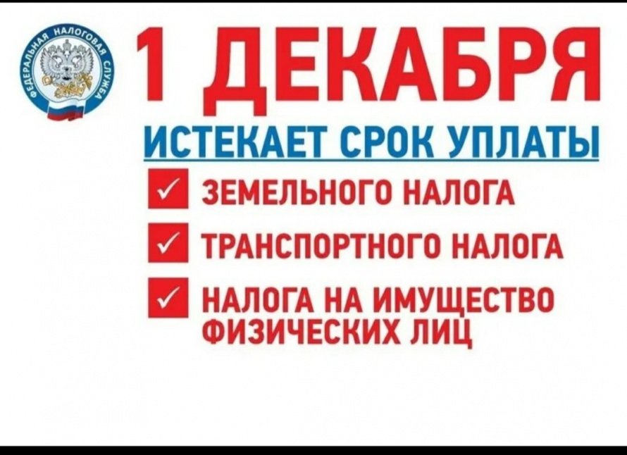 1 декабря истекает срок уплаты